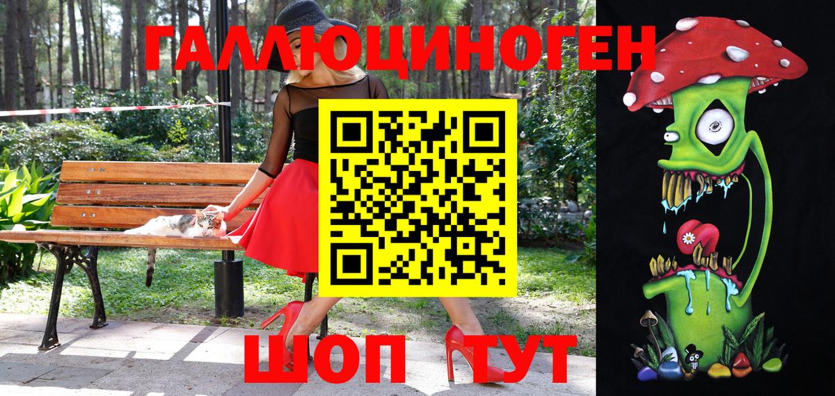 магазин    Галлюциногенные грибы прущие грибы  Белгород  Вход с VPN  Галлюциногенные грибы мицелий 