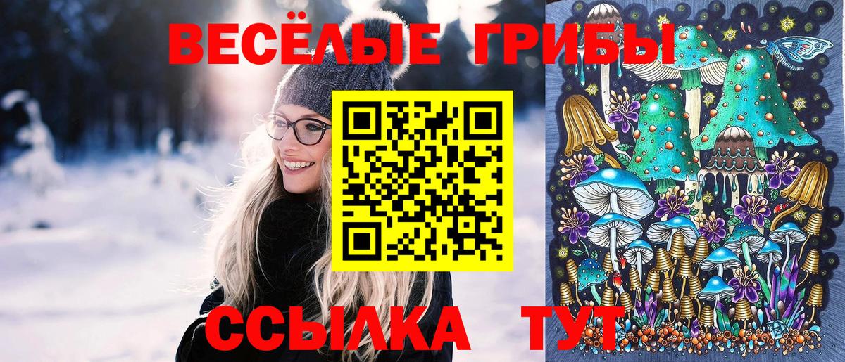 Псилоцибиновые грибы Cubensis Белгород